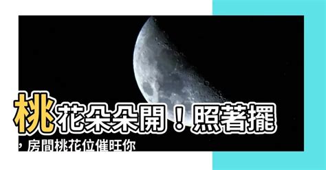 1997年1月20日 房間放桃花